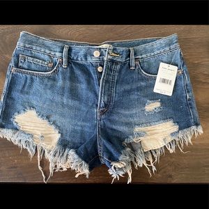 Free People Good Vibrations Shorts
